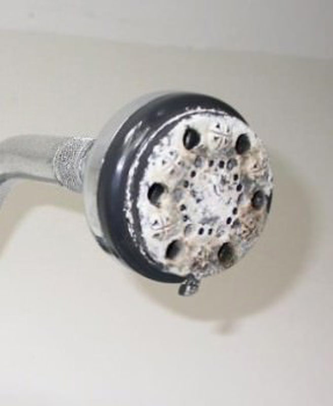 hard water build up on shower head